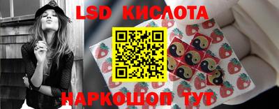 spice Добрянка