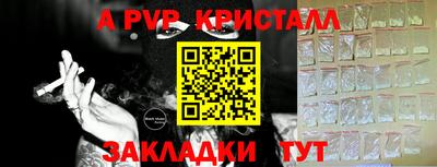 стаф Дмитров
